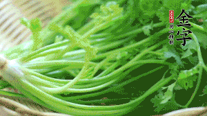 挑選鮮嫩的香菜，洗干凈后，處理成小段。