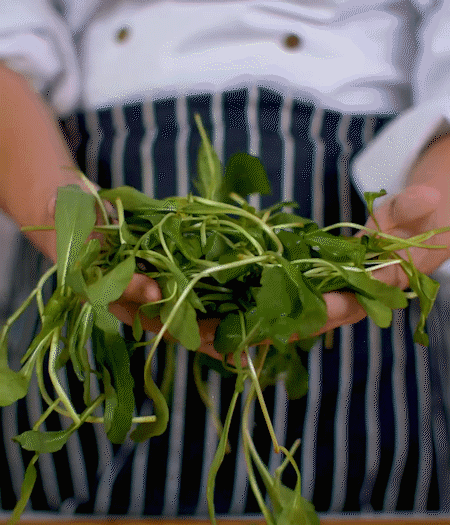 馬蘭頭焯水，切成細(xì)末。
