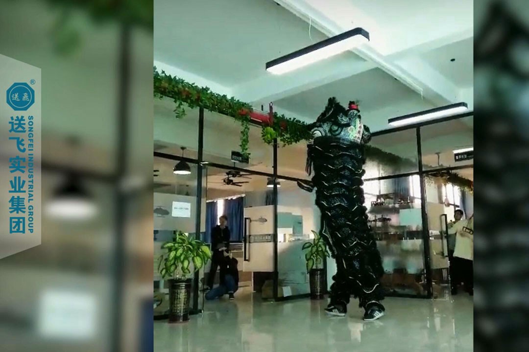 送飛實業(yè)集團：正月十五，舞獅鬧元宵 2019